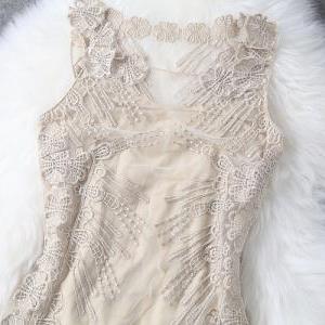 Lace Embroidery Sexy Fashion Dress Agajh