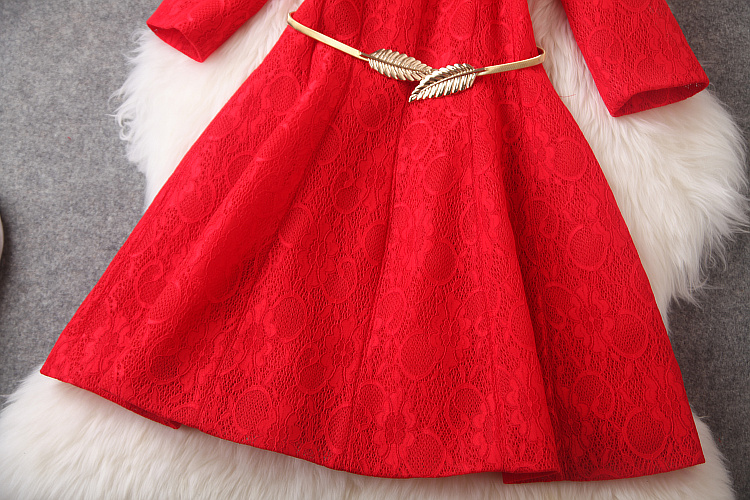 Slim Stylish And Elegant Lace Dress ( With Belt ) PL0119DA on Luulla